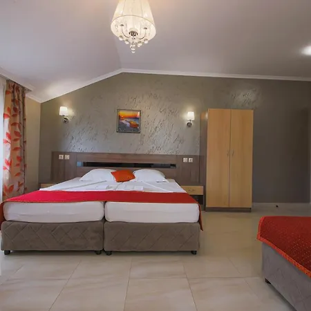 Phoenix 3* Obzor